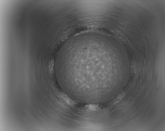 X0000072520660200607290159