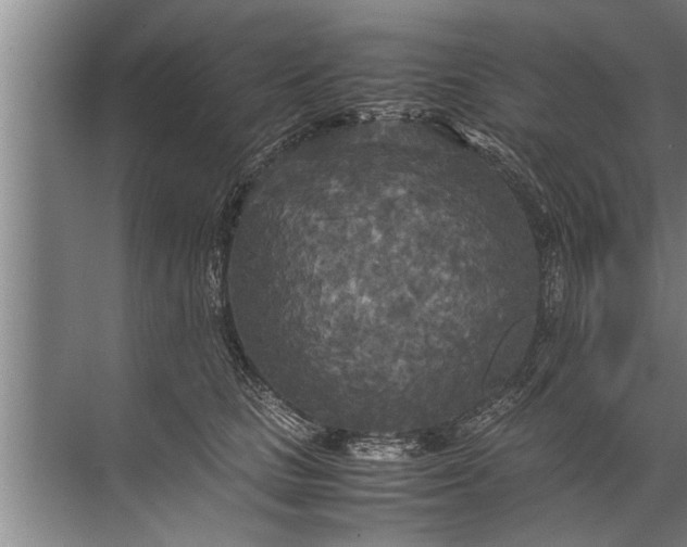 X0000072520661200607290159