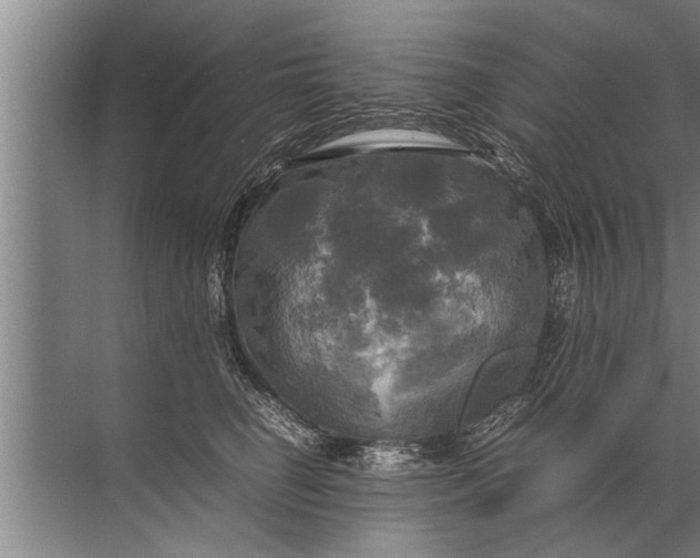 X0000072520662200607290200