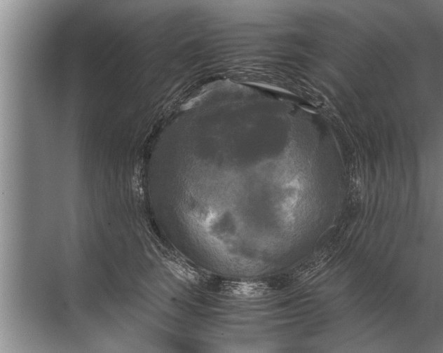 X0000072520663200607290200