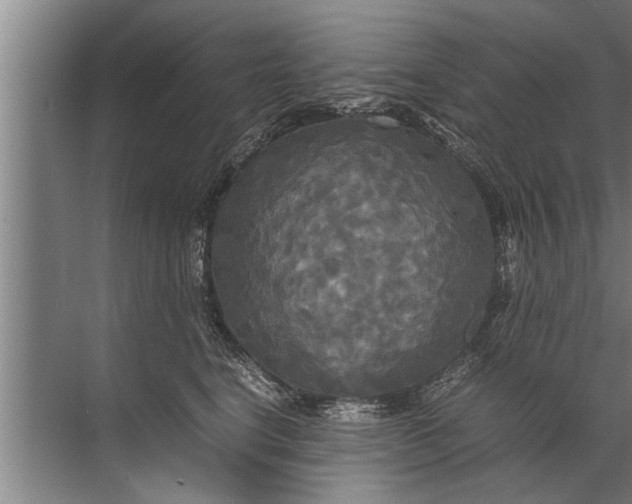 X0000072520664200607290200