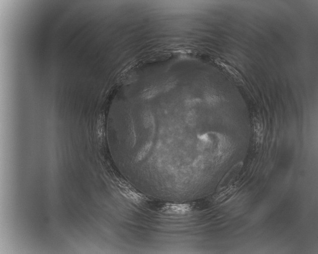 X0000072520665200607290200