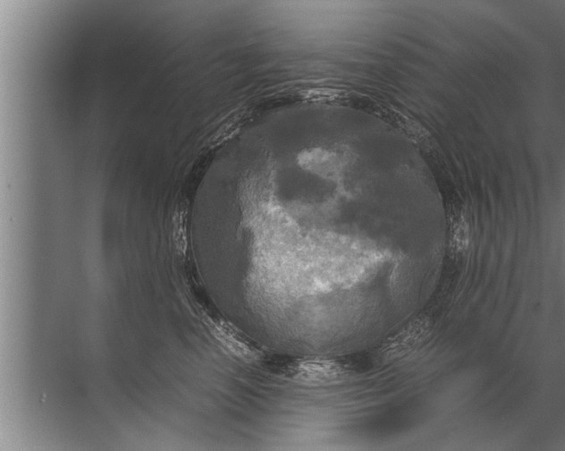 X0000072520666200607290200