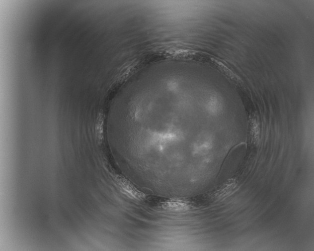 X0000072520668200607290200