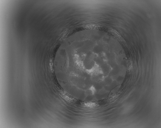 X0000072520669200607290200