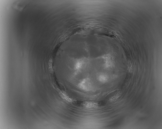 X0000072520670200607290200