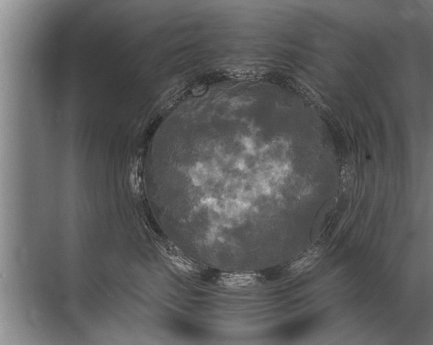 X0000072520671200607290200