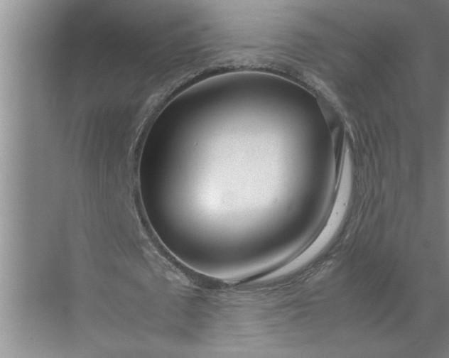 X0000072520673200607290159