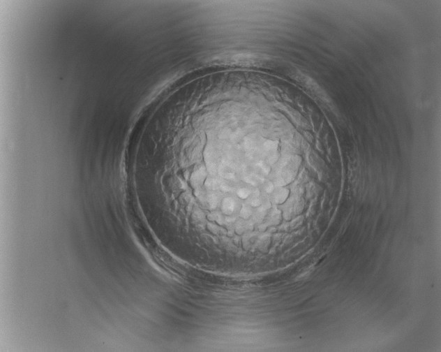 X0000072520674200607290159