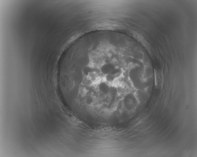 X0000072520675200607290159