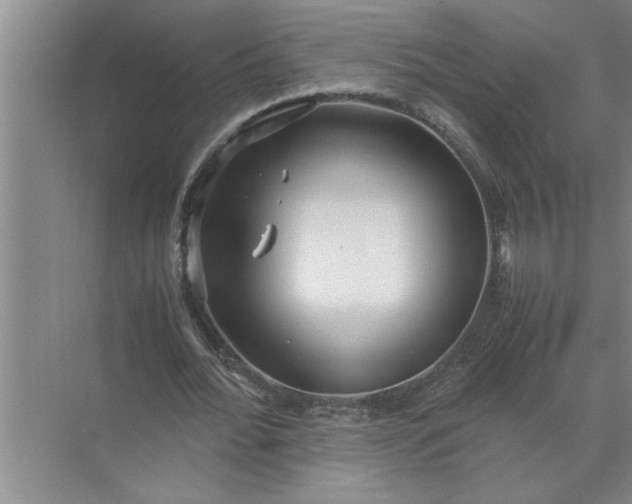 X0000072520676200607290159