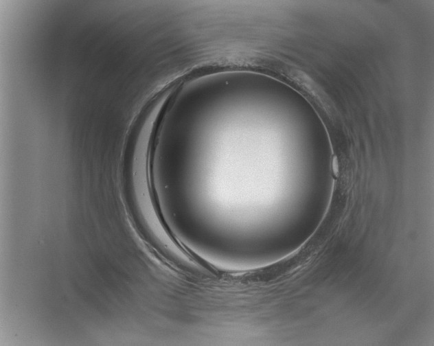 X0000072520677200607290159