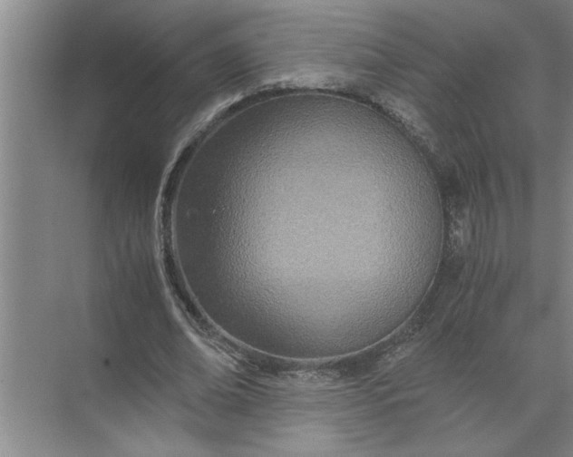 X0000072520678200607290159