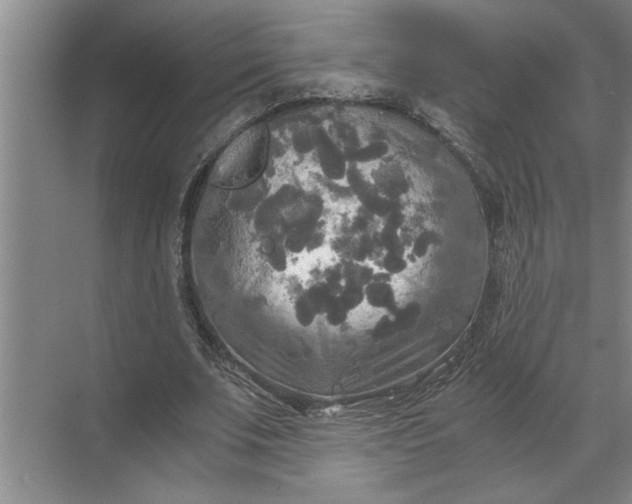 X0000072520679200607290159