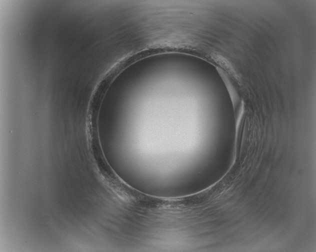 X0000072520680200607290159