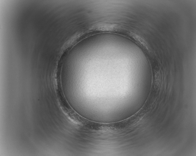 X0000072520682200607290159