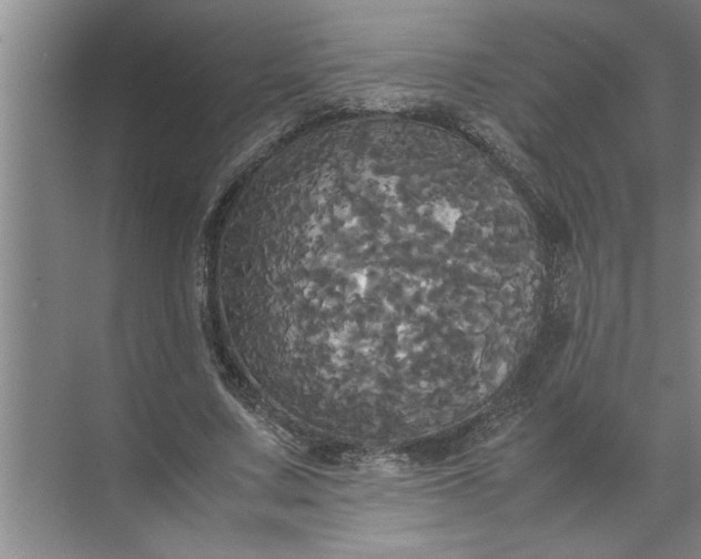 X0000072520683200607290159