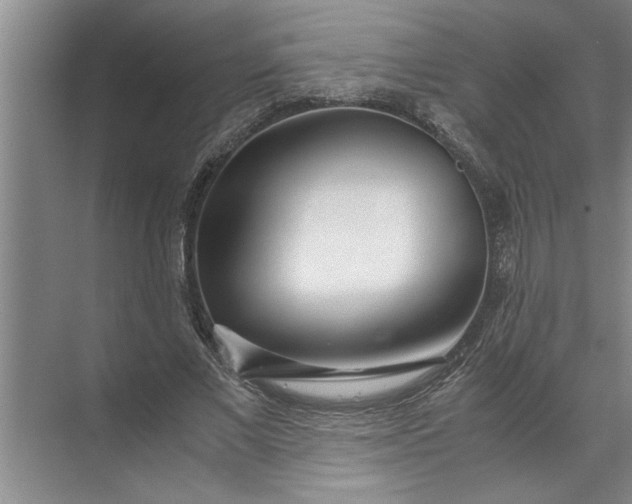 X0000072520685200607290159