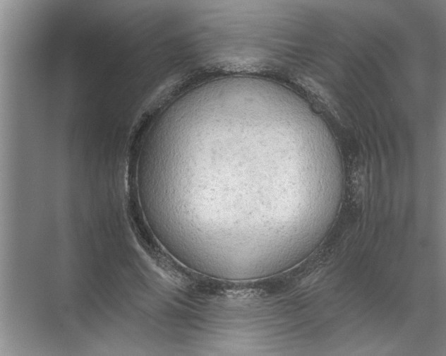 X0000072520686200607290159