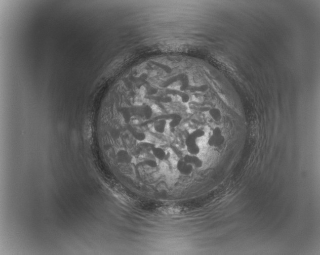 X0000072520687200607290159