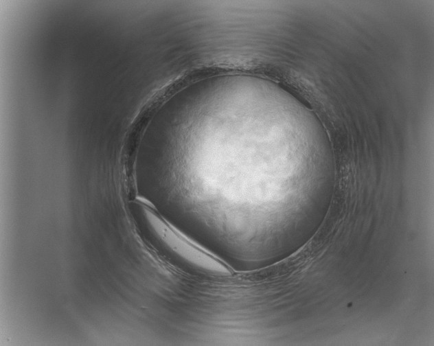 X0000072520688200607290159