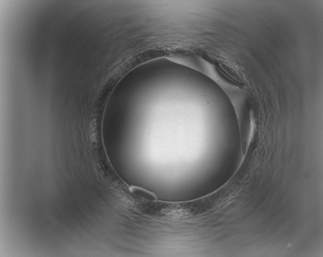 X0000072520689200607290159