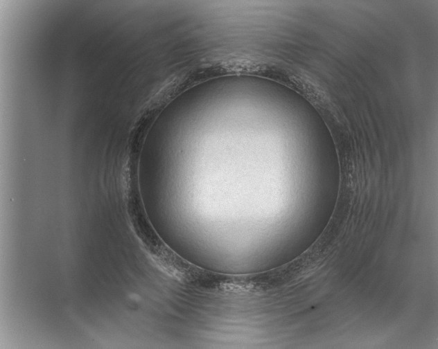 X0000072520690200607290159