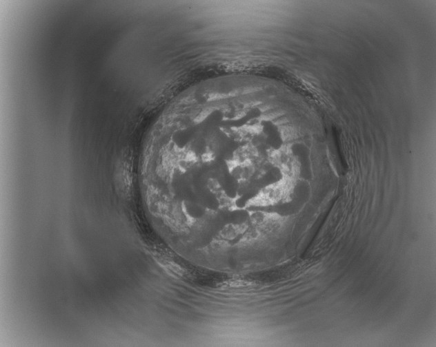 X0000072520691200607290159