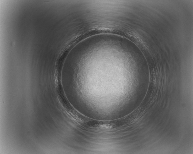 X0000072520692200607290159