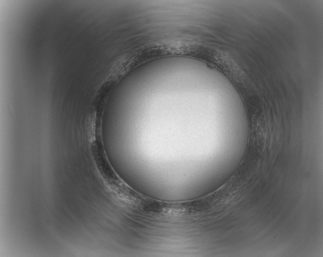 X0000072520694200607290159