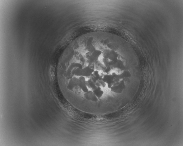 X0000072520695200607290159