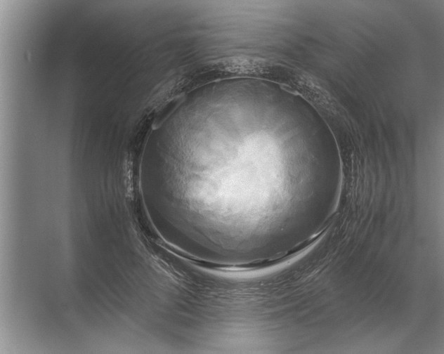 X0000072520696200607290158