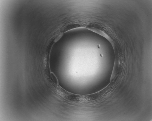 X0000072520697200607290158