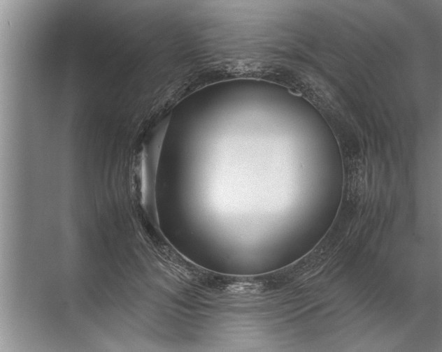 X0000072520700200607290158