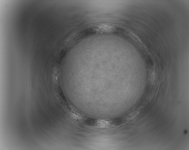 X0000072520701200607290158