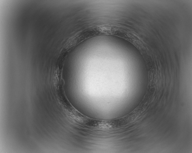 X0000072520702200607290158