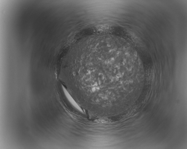 X0000072520703200607290158