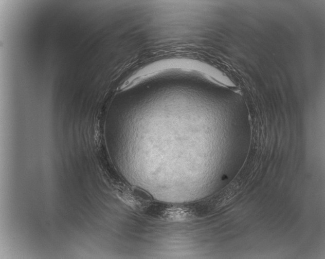 X0000072520704200607290158