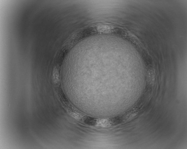 X0000072520705200607290158