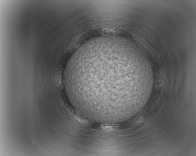 X0000072520706200607290158