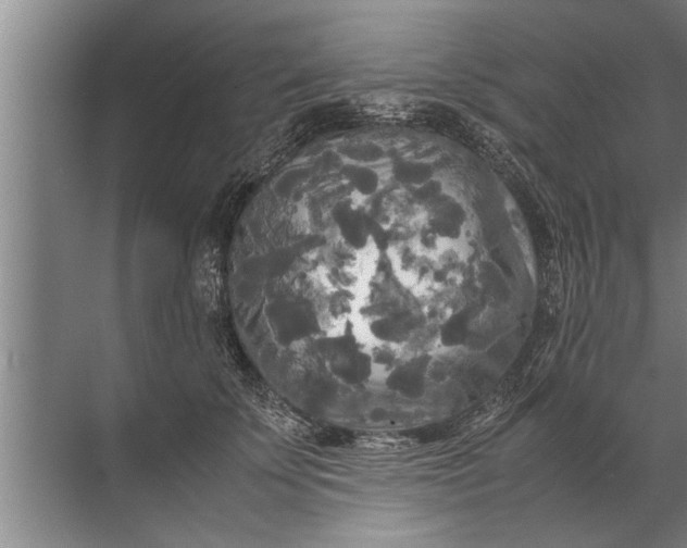 X0000072520707200607290158