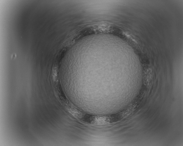 X0000072520709200607290158