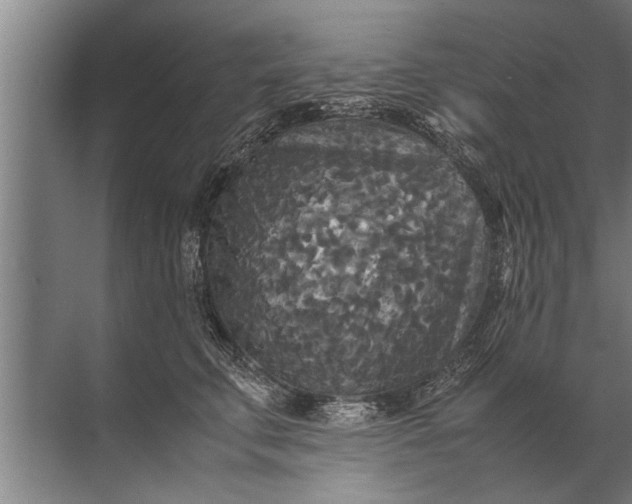 X0000072520711200607290158