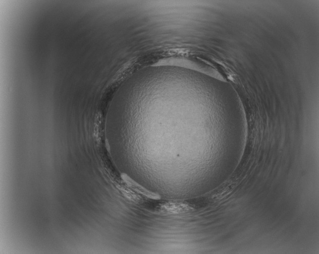 X0000072520712200607290158