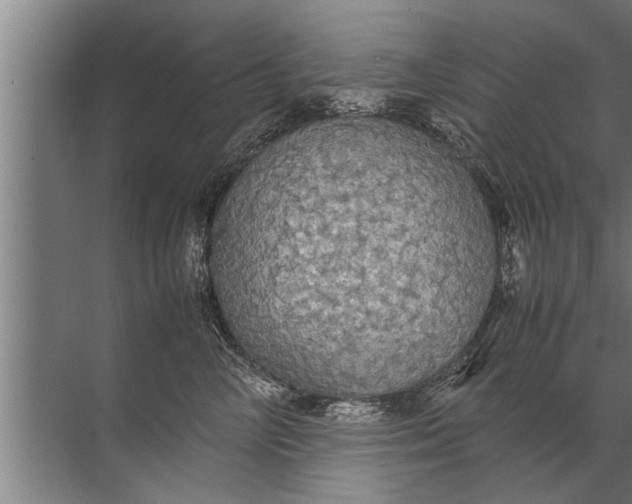 X0000072520714200607290158