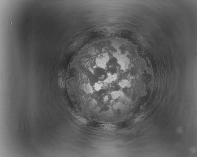 X0000072520719200607290158