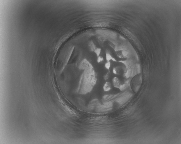 X0000072520721200607290157