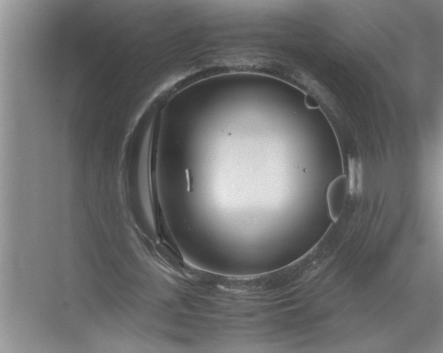 X0000072520723200607290157