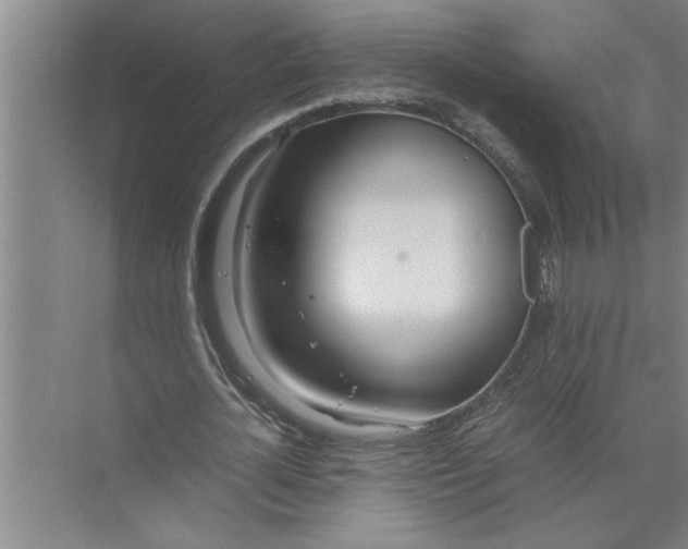 X0000072520724200607290157