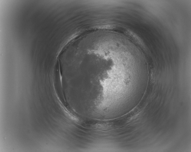 X0000072520725200607290157